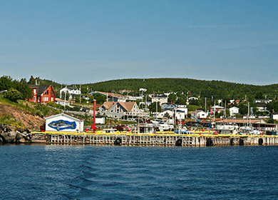 Trolley rentals in Avalon Peninsula