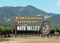 Trolley rentals in Napa