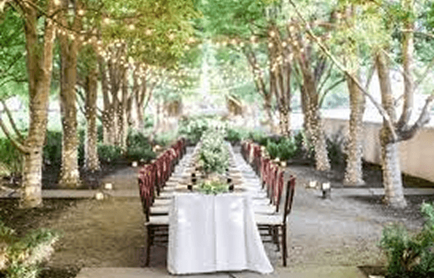 Marie Gabrielle, RentATrolley