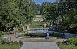 The Morton Arboretum