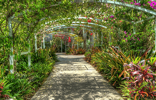 Naples Botanical Garden