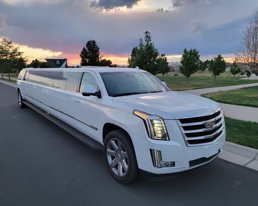 a limo fleet