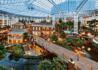 Trolley rentals in Gaylord