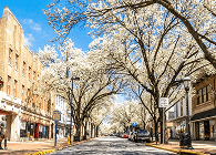 Trolley rentals in York