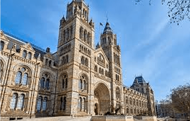 The History Museum, RentATrolley