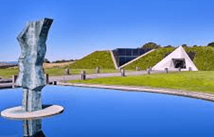 Artesa Vineyards & Winery, RentATrolley