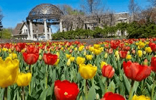 Sunken Gardens